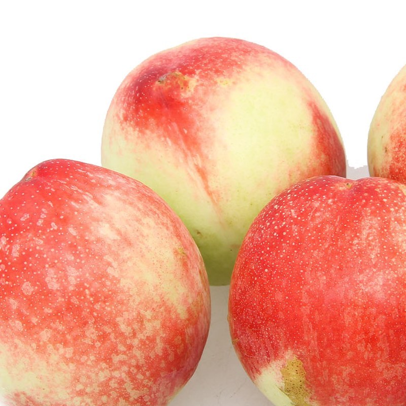 油桃有什么用 油桃有什么用