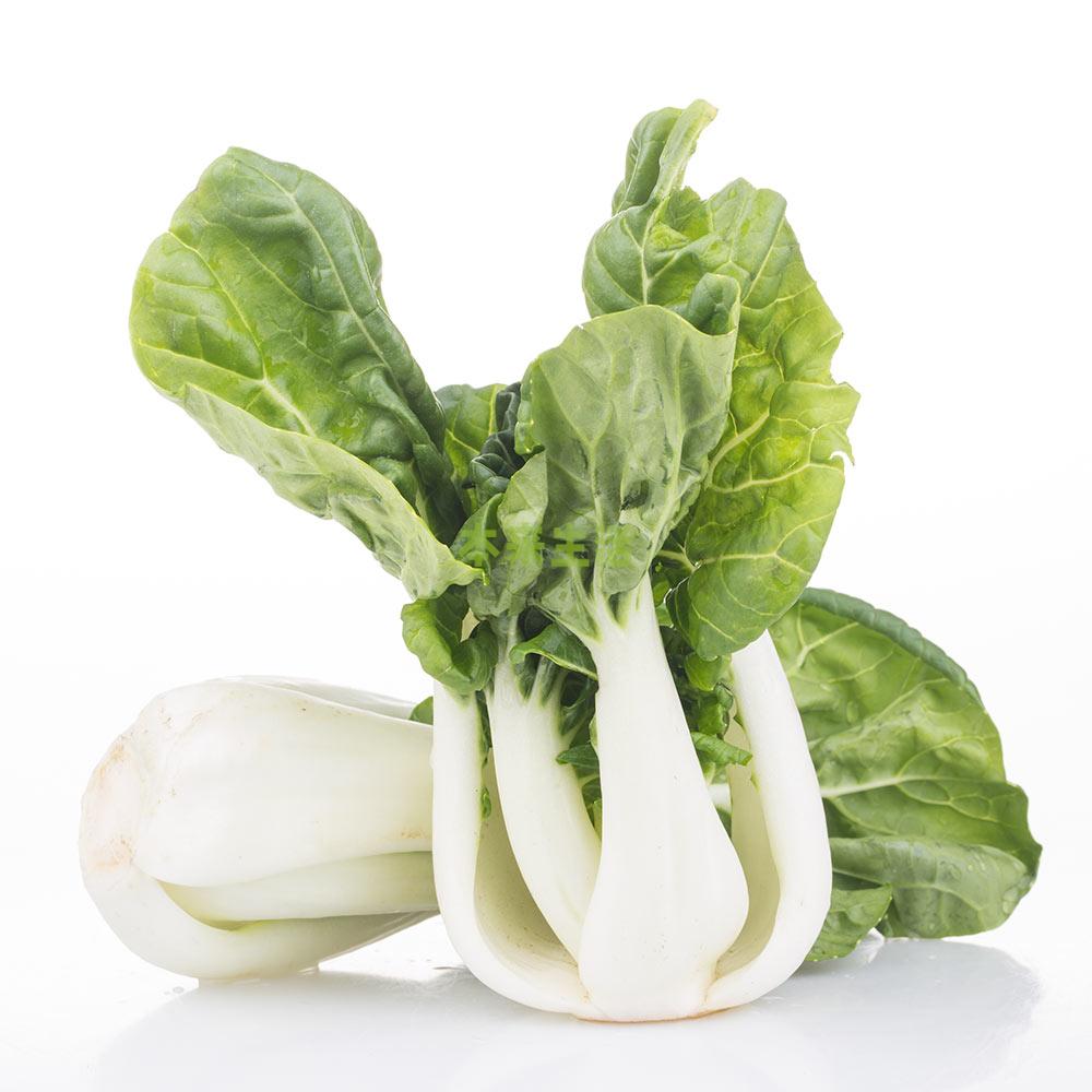 奶白菜【图片,促销,评价,图片】—郴州生源闪购