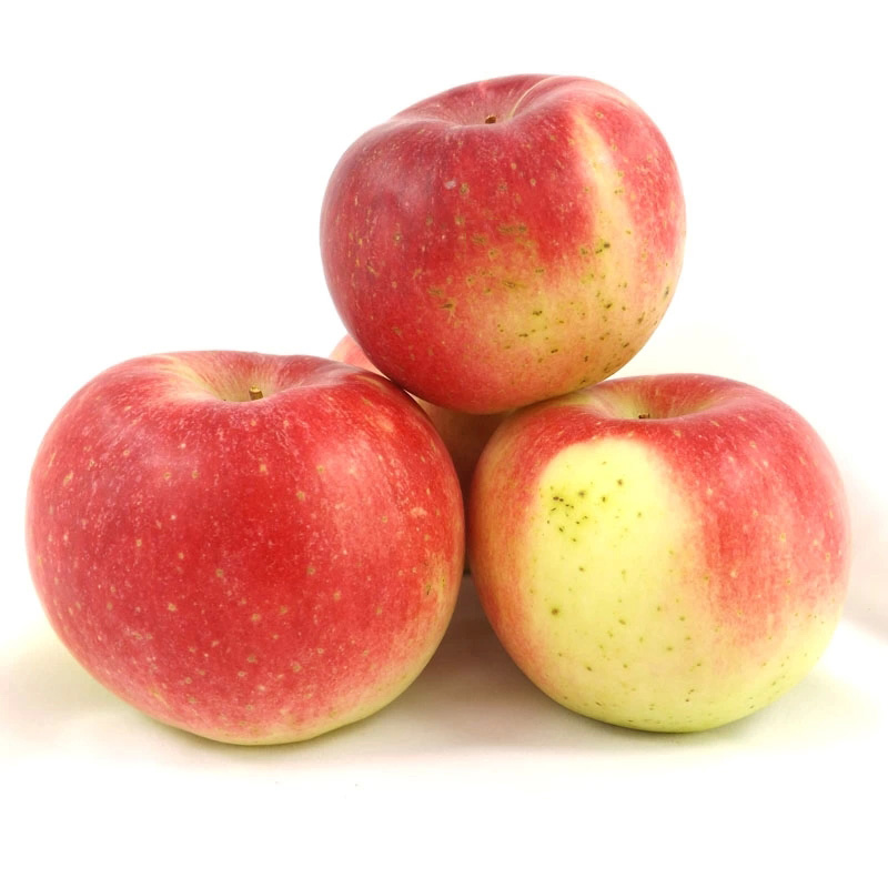 嘎啦果()【图片,促销,评价,图片】—郴州生源闪购