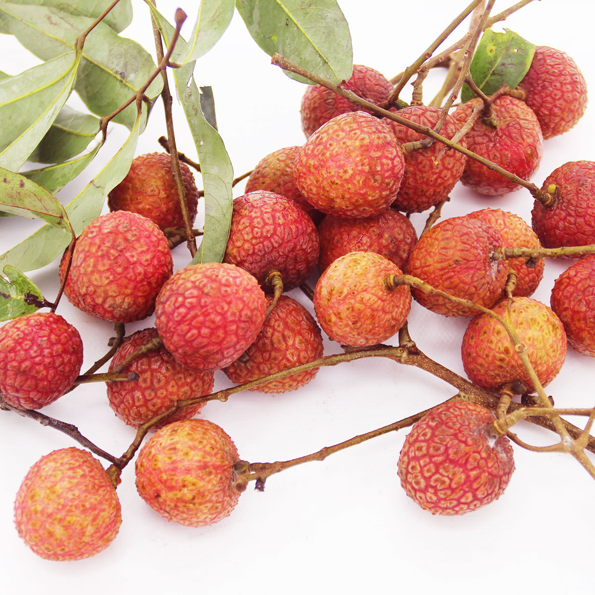 货品编号: 2101602 商品名称: 白腊荔枝 产地: 广东 储存方法: 低温