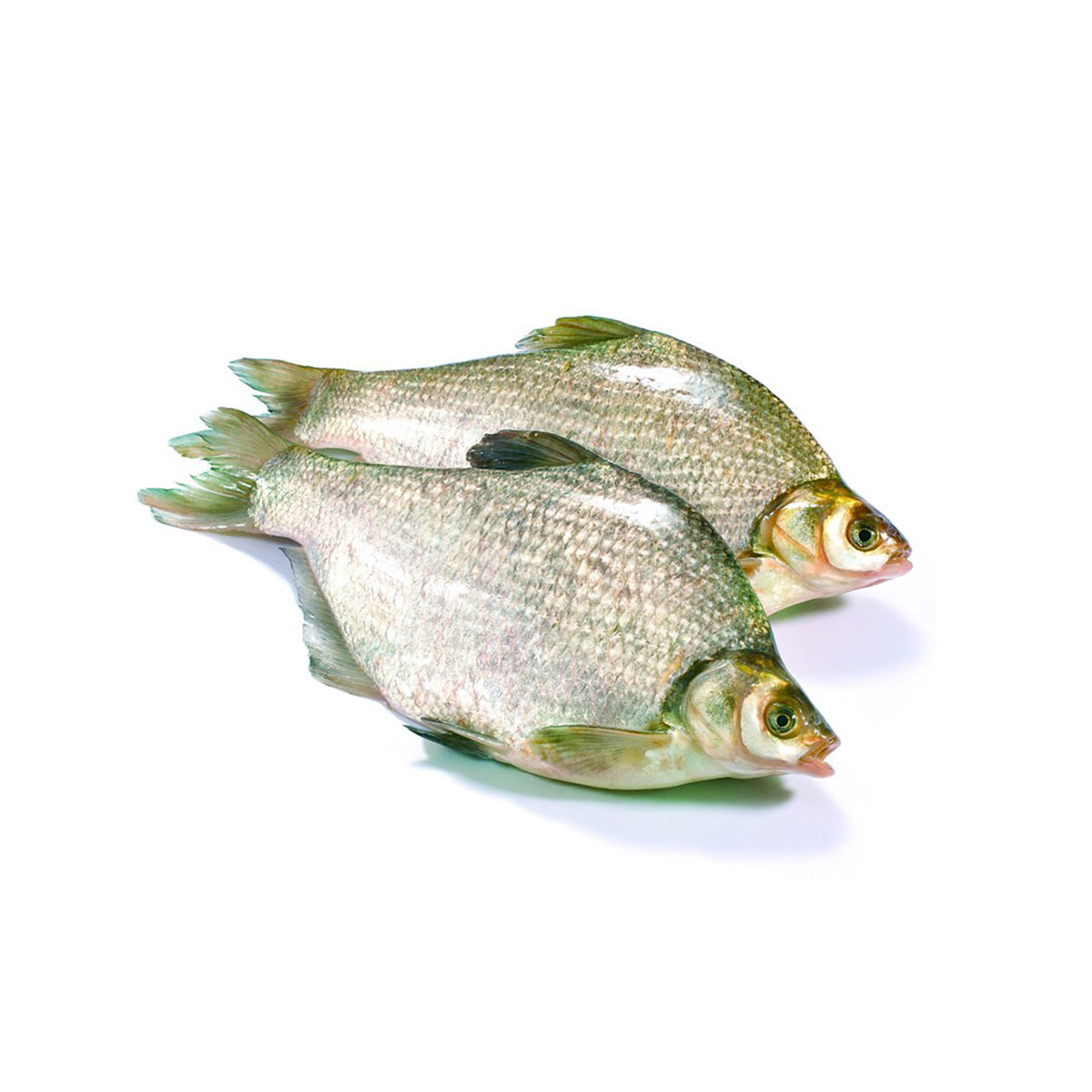 生源闪购(shengyuan.cn)-闪亮生活,购你喜欢!