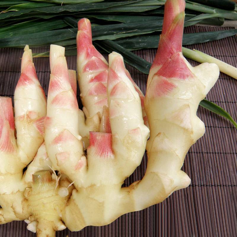 货品编号: 2102415 名称: 临武东山紫姜1000g 产地