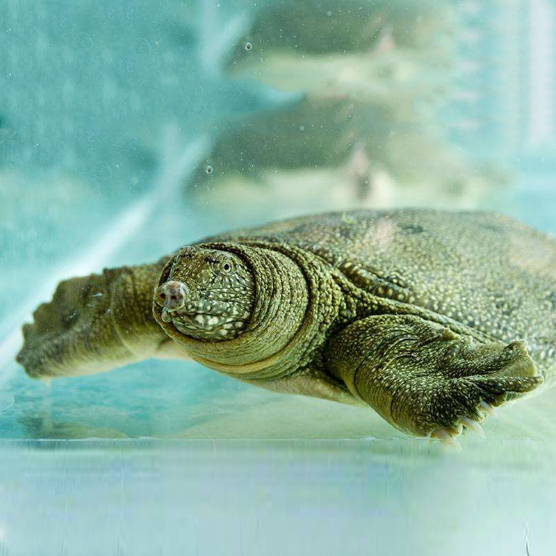 生源闪购对郴州市内地址,采取就近门店配送原则,请正