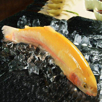 东江湖黄金斑毛重约1kg/条,(误差在50g内属正常,超出按多退少补).