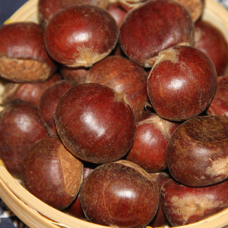 货品编号: 毛粟1000g